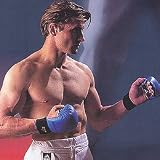 Adidas WKF Karate Mitts
