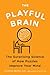 Image of The Playful Brain: The Surprising Science of How Puzzles Improve Your Mind