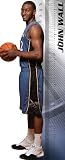 John Wall Growth Chart Washington Wizards NBA Fathead REAL.BIG Wall Graphics