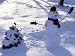 Dressed Up Snowman Next to a Snow Covered Colorado Blue Spruce Photographic Poster Print by Paul Damien, 12x16