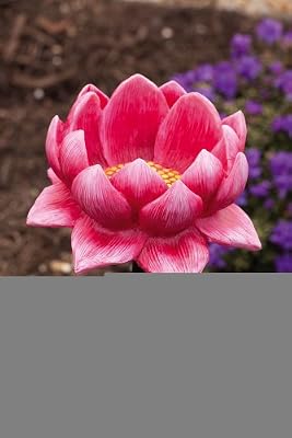 Water Lily Bird Stake Feeder