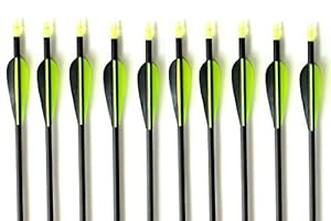 31-Inch Outdoors Adult Carbon Arrows Target Practice Archery Arrows With Screw-In Field Points 10 Pack