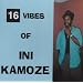 16 Vibes of Ini Kamoze