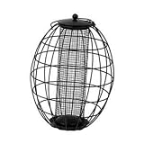 Oval Squirrel Proof Bird Peanut Feeder