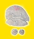 Wedding Dress clothes fits 12" Snuggl'ems, 8" - 10" Stuffed Animal kits & most Webkinz & Shining Star animals