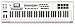 M-Audio Axiom Pro 61