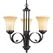 Royce Lighting RLCH017-19 Outdoor Lighting Collection Portable 5-Light Indoor/Outdoor Chandelier, Sepia Tinted Glass Shades, Espresso Finish