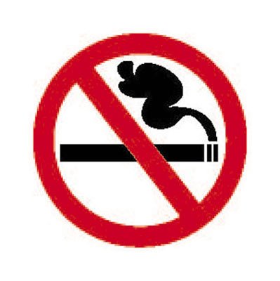 Large NO SMOKING SIGN Vinyl Sticker/Decal
