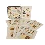 Cavallini Birds & Nests Botanical stickers, 100+ in Tin Cavallini Papers 24-26 sheets