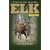 Bowhunting Modern Elk