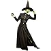 Goddessey Womens Oz Wicked Witch Halloween Costume