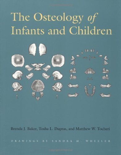 Osteology of Infants And Children Osteology of Infants And Children