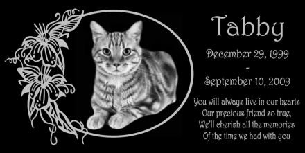 12 x 6 Lazer Gifts Personalized Black Granite Pet Memorial Marker Style Tabby