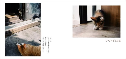 Cover image : ふちゃぎとエリザベス(DVD付き)