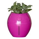 Grobal Self-Watering Pot - Bubblegum