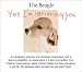   - The Beagle Friendship Greeting Card (set of 6)