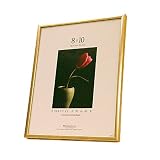 Review MCS Industries  / Gold Multi-Purpose Picture Frame - 8