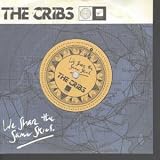 WE SHARE THE SAME SKIES 7" (45) EUROPEAN WICHITA 2009 BLUE VINYL B/W CITY OF BUGS LIVE (WEBB225S) DIE CUT PIC SLEEVE