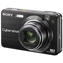 Sony Cybershot DSCW170/B 10.1MP Digital Camera with 5x Optical Zoom with Super Steady Shot (Black)
