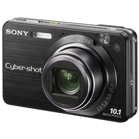 Sony Cybershot DSCW170/B 10.1MP Digital Camera with 5x Optical Zoom with Super Steady Shot (Black)