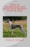How to Understand and Train your Whippet Puppy and Dog
