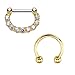 BodyJ4You 16G Septum Clicker and Horseshoe Circular Barbell 16 Gauge Surgical Steel - 2 Pieces