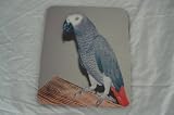 AFRICAN GREY PARROT MOUSE MAT PAD