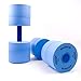 Exervo Aqua Fitness Pool Water Dumbbells Maximum Resistance Pair, Foam, Blue