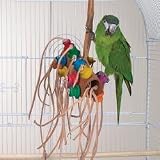 BONKERS - Brainy Bird Wild Series Toys