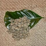 �u���[�}�E���e�� No.1 �i������200g�j�u����20%���ʒ��I�v-���i�e�҂��j-�������i���[�X�gNo.4)