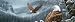 Vantage Birds-Eagle Rear Window Graphic
