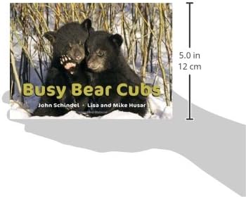 Busy Bear Cubs (A Busy Book)