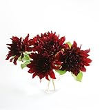 【10月23日到着限定】ダリア（黒蝶）5本とグリーン（ご自宅用）