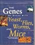 Genes We Share With Yeast, Flies, Worms and Mice: New Clues to Human Health and Disease