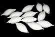 Club Pack of 12 Winter White Shatterproof Finial Christmas Ornaments 4.75"