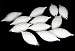 Club Pack of 12 Winter White Shatterproof Finial Christmas Ornaments 4.75"