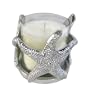 Starfish Candle Holder or Wine Bottle Holder