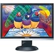 Viewsonic VA1716w 17-Inch LCD Monitor