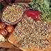 Sprouting Seeds - Salad Sprouts Mixed