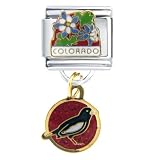 Colorado Italian Charms Bracelet Link