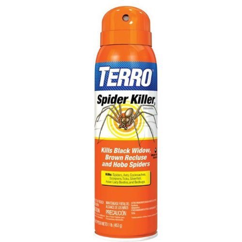 Bed bugs elimination natural, gnats fruit flies, kill brown recluse spider spray
