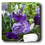 mp_188626_1 Danita Delimont - Julie Eggers - Flowers - Portugal, Aveiro. Bouquet of Godetia and Bells of Ireland. - Mouse Pads