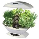 AeroGrow AeroGarden with Gourmet Herb Seed Kit, Black