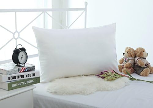 19mm 100% Premium Luxury Pure Mulberry Silk Pillowcase for Hair &amp; Facial Beauty Queen/Standard Size 20x30Inch Shams with Hidden Zipper ,1pc,19Momme