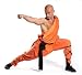 Shaolin Warrior Monk - 36