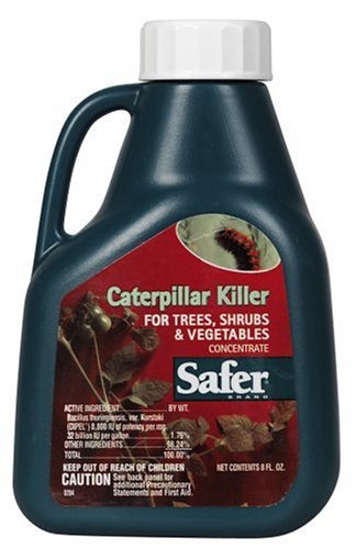 Tools: Safer Brand Caterpillar Killer With BT   8 oz Concentrate #5160