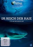 Im Reich der Haie