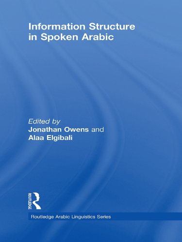 Information Structure in Spoken Arabic (Routledge Arabic Linguistics Series)