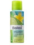 Balea Wellness Fuss & Schuh Deo, 2er Pack (2 x 100 ml)