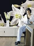 Fototapete Motivtapete Bildtapete Madonna Narzissen Narzisse Blumen Blüten - Lieferung mit Tapetenleim - Wall Mural 4-Teilig - Größe 254 x 184 cm